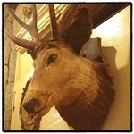 珈琲の殿堂　プリンス - 店内。