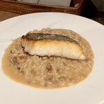マカウダ - 天然鯛とポルチーニ茸のリゾット