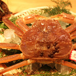 Sakuramaru - 【山陰冬の味覚】松葉がに。焼き、ゆで、甲羅焼き、蟹味噌真丈、蟹すき、蟹雑炊