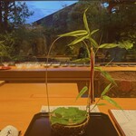 御料理ふじ居 - 