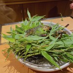 御料理ふじ居 - 