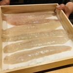 馳走 啐啄一十  - 【写真④】虎河豚(瀬戸内海、6日寝かせと2日寝かせ)