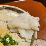 馳走 啐啄一十  - 【写真⑦】虎河豚(瀬戸内海、2日寝かせ)