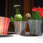 マッカリーナテーブル