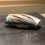 島津 - 天草 コハダ