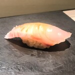 島津 - 兵庫 トロサワラ