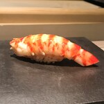 島津 - 長崎 天然車海老