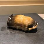 島津 - 対馬 穴子