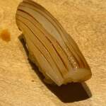 寿し おおはた - 