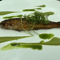 TRATTORIA CREATTA - 