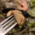 キャトルラパン - 