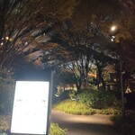 キャトルラパン - 