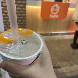 CoCo都可 渋谷本店
