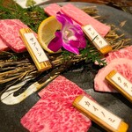 焼肉ふじみ - 食べ比べ4品
部位が違うだけで、味も風味も全く違います。