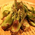 Sakuramaru - 【春の山菜】たらの芽、天婦羅で