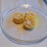 SAKURAGUMI - シェフのご挨拶