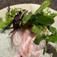 Ukiyo - 