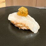 鮨屋 与兵衛 - ヒラメ昆布締め　20°C / 30°C