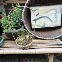 新宿うな鐵 はなれ - 