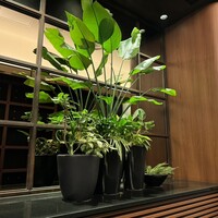 鉄板焼 摩天楼 東京スカイツリー・ソラマチ店 -  鉄板焼 摩天楼 東京スカイツリー・ソラマチ店 -