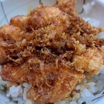 Tempura Temmatsu Nihombashi Ten - 