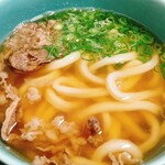 Udombashin - かけ肉うどん