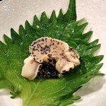 湯島天神下 すし初 - つぶ貝