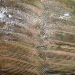 やきとり 陽火 - 