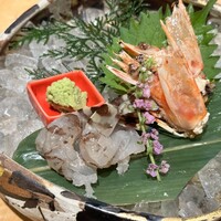 対馬のどぐろとイカ活き造り 博多 魚蔵 都ホテル店 - 活き車海老