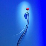 EL DORADO / ホテル イル・パラッツォ - 