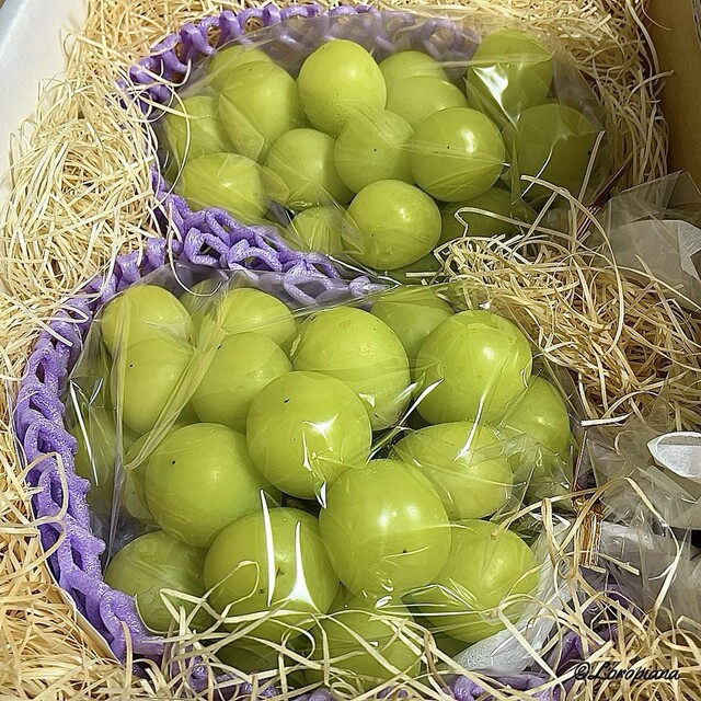 谷代果樹園 - 安子ケ島（その他）の写真