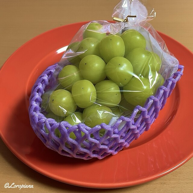 谷代果樹園 - 安子ケ島（その他）の写真