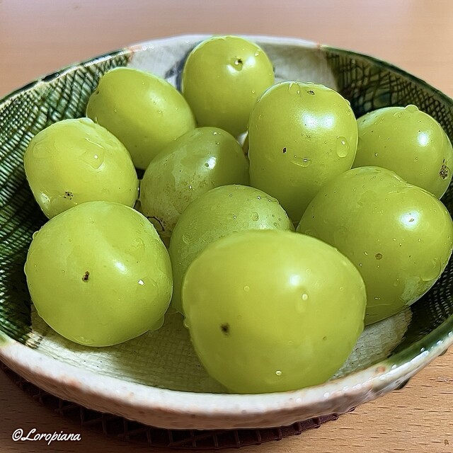 谷代果樹園 - 安子ケ島（その他）の写真