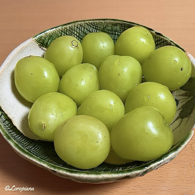 谷代果樹園 - 安子ケ島（その他）の写真