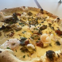 CODA ROSSA -  CODA ROSSA -