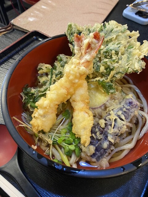 Teuchi Udon Ieyasu Asakusa Ten photo 2