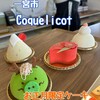 Coquelicot - 