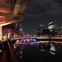 スミレオオサカ -  スミレオオサカ -