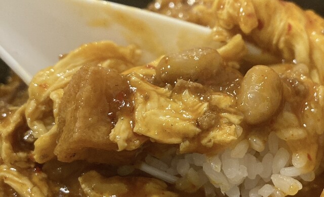 Chinese Nissho photo 3