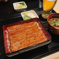 うなぎ 目白ぞろ芽 - 