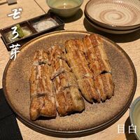 うなぎ 目白ぞろ芽 - 