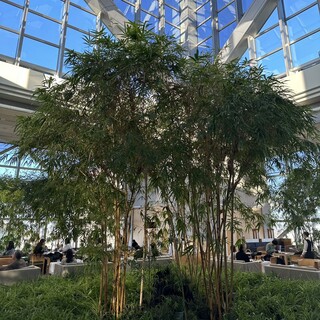 ピーク・ラウンジ_2