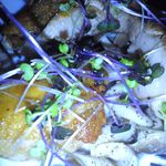 角打ワイン 利三郎 - 鳥もも肉のコンフィ