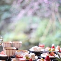 日本料理「雲海」 - 