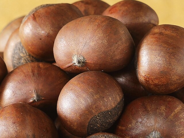 Imai Sohonke Manshoji Honten