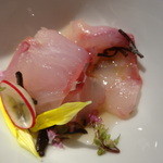 エスト！ジャパン - コチのお刺し身