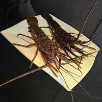 銀座 鉄板焼き Sublime - 