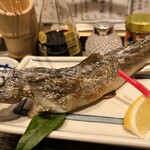 小川の魚 - 