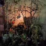 すっぽん料理 土佐一 - 