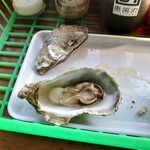 勇栄丸 - こんなに縮んじゃって(T_T)